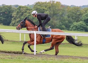 ENFJAAR leads home a Varian Stable 1-2 in the John Smith's Cup!