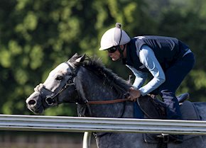 CHARYN makes it back-to-back G1 victories!