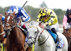 SHADOW DANCE prevails at York