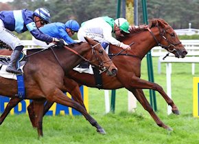 French Stakes Success for Invitational