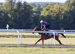 FONDO BLANCO and SPERHICAL land a cross-card double