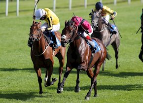 Two runners, two winners at Leicester