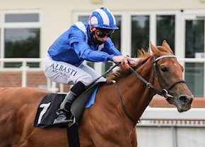 Zeyaadah remains unbeaten with Beverley success