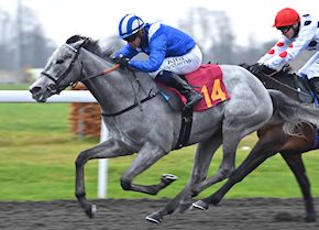 Zaajel sparkles on debut with easy win at Kempton