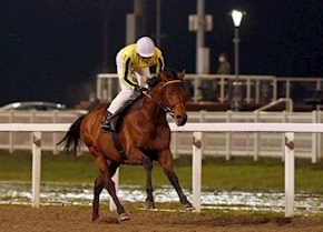 Father of Jazz Winter Derby preview