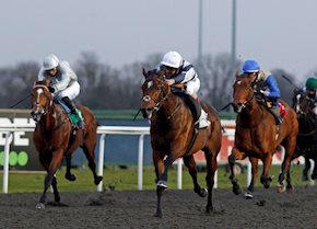 Troll Peninsula shines under the spotlights at Kempton