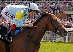 Glorious performance by NAGANO at Goodwood