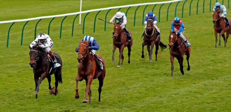 Zeyaadah conquers the long time leader Mystery Angel inside the final furlong